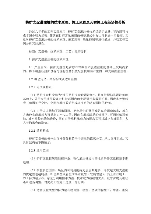 挤扩支盘灌注桩的技术原理、施工流程及其实例工程经济性分析