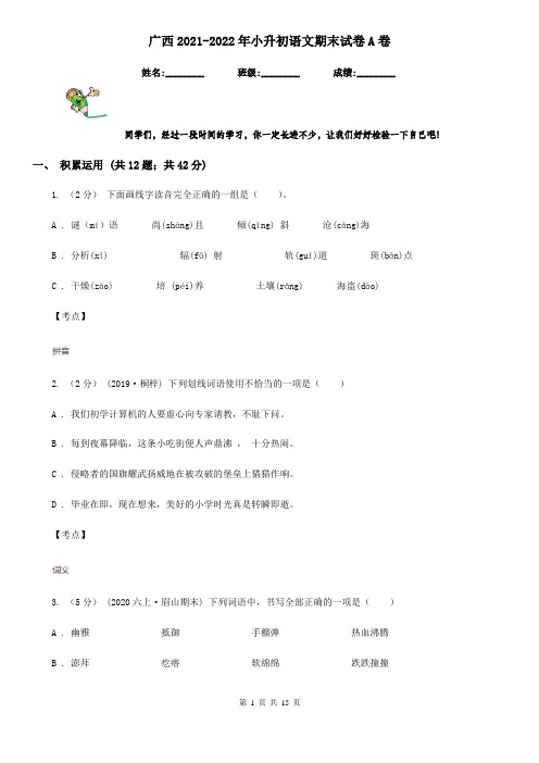 广西2021-2022年小升初语文期末试卷A卷(新版)