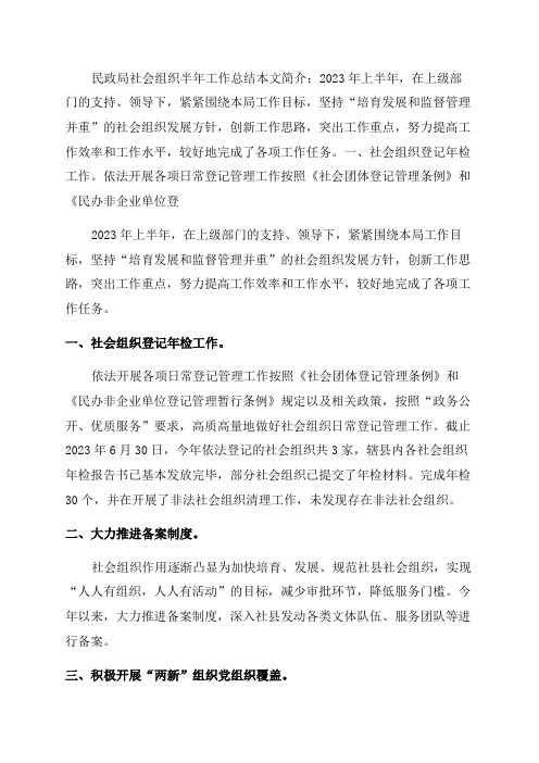 民政局社会组织半年工作总结民政局工作总结半年组织社会