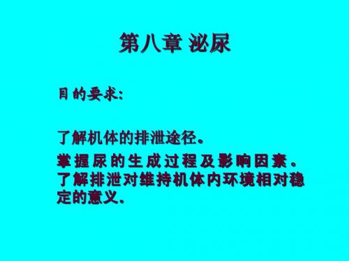 第八章泌尿 小文件