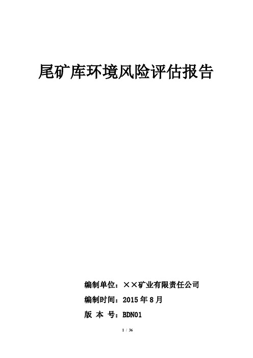 ××矿业尾矿库环境风险评估报告2015指南最新版