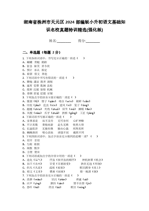 湖南省株洲市天元区2024部编版小升初语文基础知识名校真题特训精选(强化版)