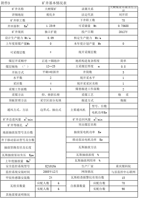 大树煤业有限责任公司基本情况表