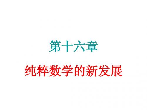 17纯粹数学的新发展