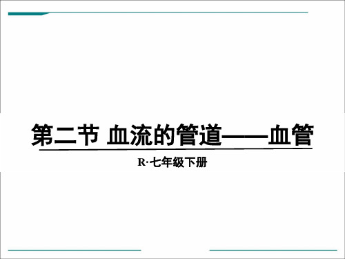 人教版生物七年级下册4.4.2 血流的管道——血管 课件 (共24张PPT)