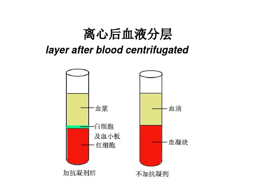 红细胞比容血红蛋白测定