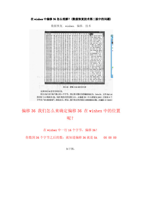 在winhex中偏移36怎么理解？(数据恢复技术第二版中的问题)