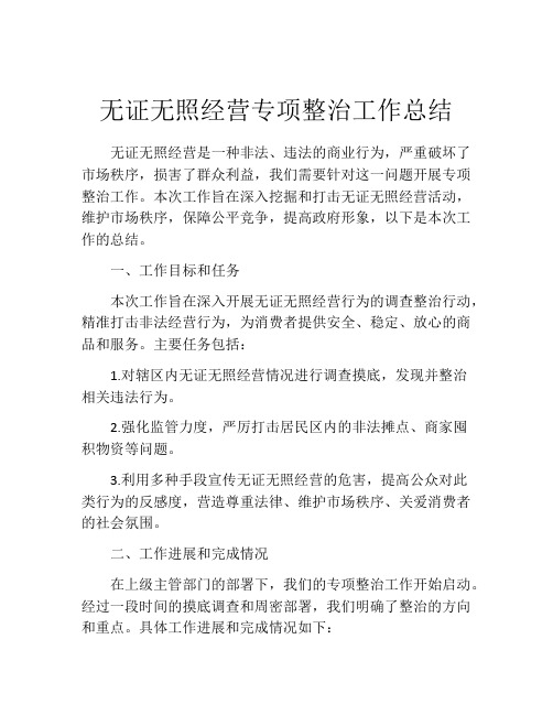 无证无照经营专项整治工作总结