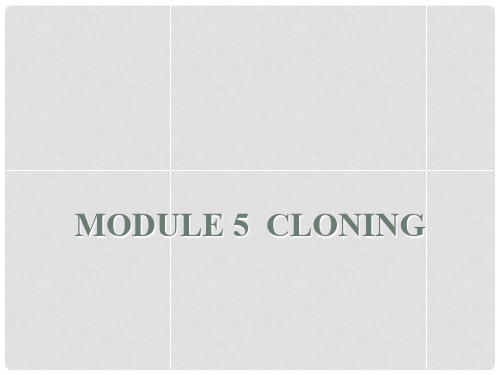 高中英语 Module 5 Cloning Period 3 Function,Speaking and Writing课件 外研版选修6