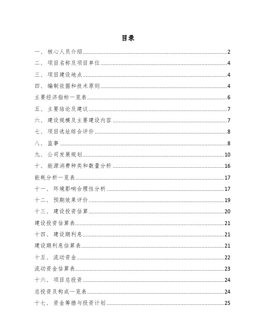 环氧树脂固化剂项目总结分析报告