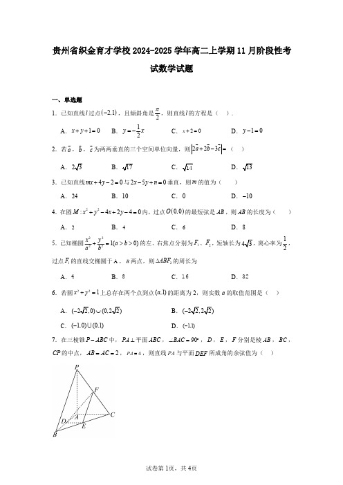 贵州省织金育才学校2024-2025学年高二上学期11月阶段性考试数学试题