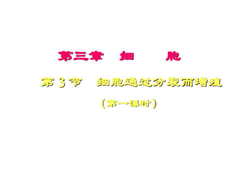 (2019版)七年级生物细胞通过分裂而增殖1