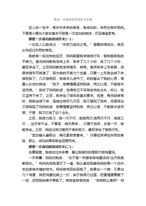 那是一次成功的尝试作文5篇_小学五年级叙事作文_