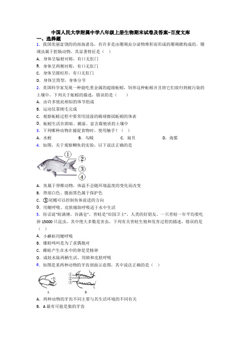 中国人民大学附属中学八年级上册生物期末试卷及答案-百度文库