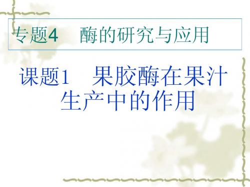 选修1-果胶酶在果汁生产中的作用课件 ppt
