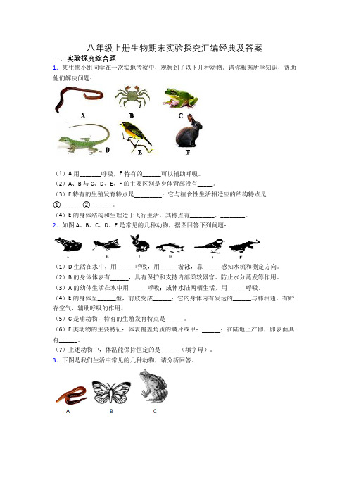 八年级上册生物期末实验探究汇编经典及答案[003]