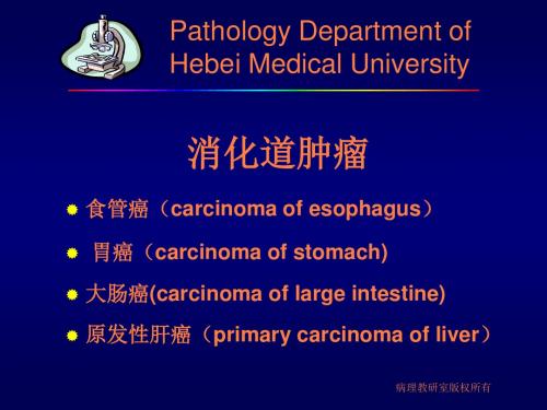 消化系统常见肿瘤PPT课件