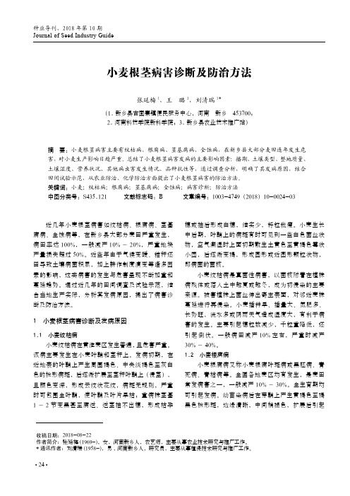 小麦根茎病害诊断及防治方法