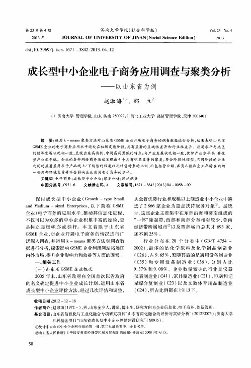 成长型中小企业电子商务应用调查与聚类分析——以山东省为例