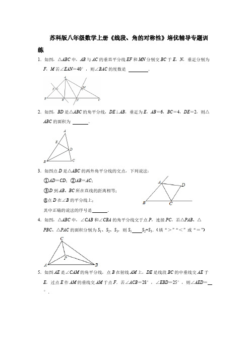 苏科版八年级数学上册《线段、角的对称性》培优辅导专题训练【含答案】