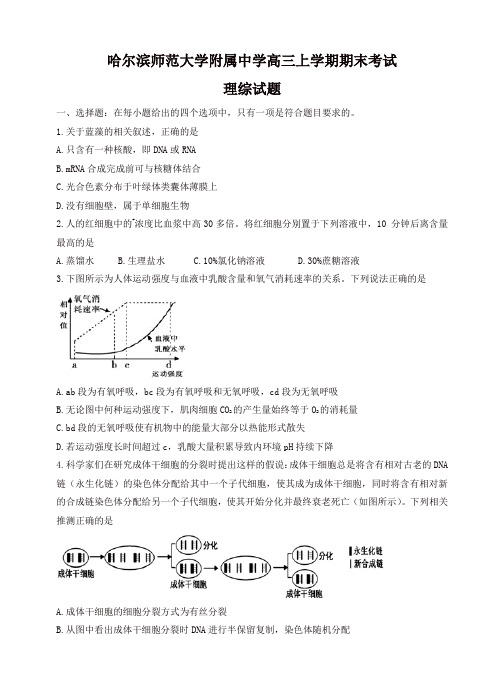 黑龙江省哈尔滨师大附中高三上学期期末考试理综试卷(有答案)