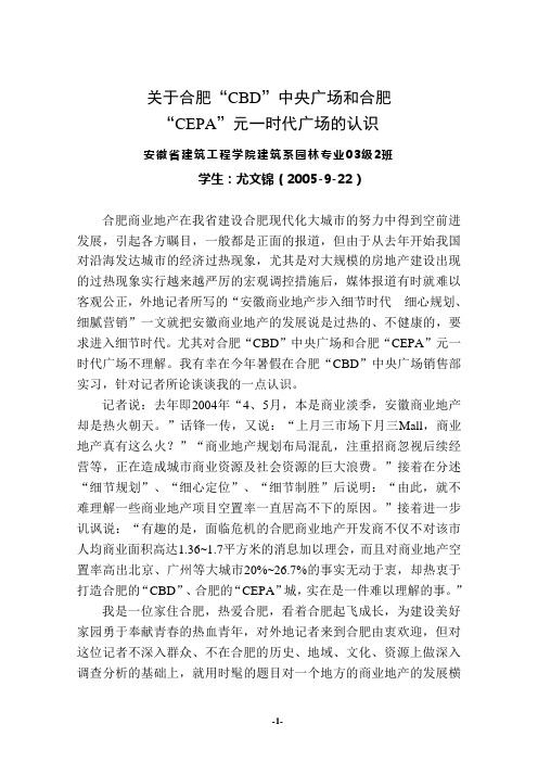 20050922关于合肥“CBD”中央广场和合肥“CEPA”元一时代广场的认识