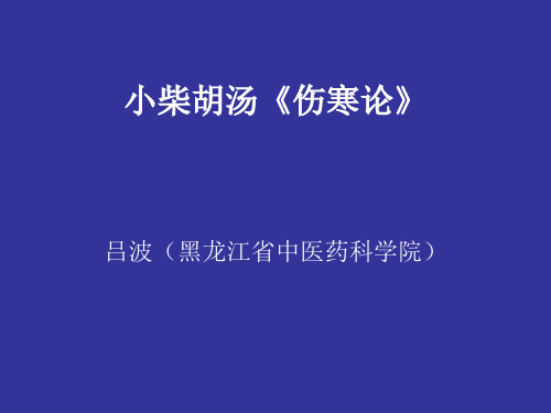 小柴胡汤精品PPT课件