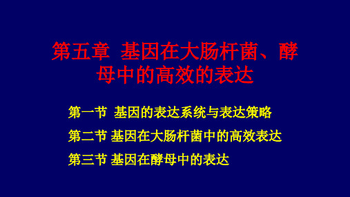 第五章 基因在大肠杆菌、酵母中的高效的表达