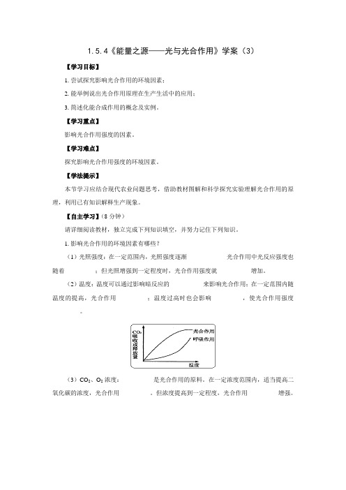 《能量之源——光与光合作用》学案(3)