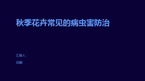 秋季花卉常见的病虫害防治