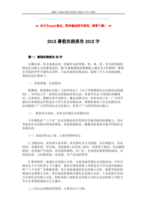 2019年201X暑假实践报告201X字-范文模板 (5页)