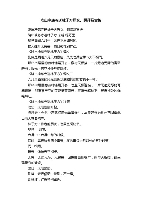 晓出净慈寺送林子方原文、翻译及赏析