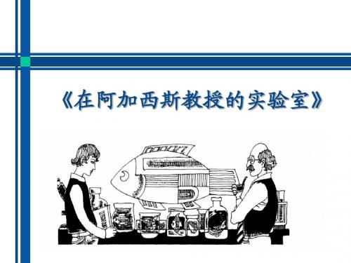 《在阿加西斯教授的实验室》公开课 优秀课件(苏教版)PPT