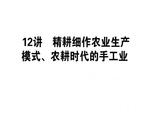 2017届高考历史第一轮知识梳理复习课件13