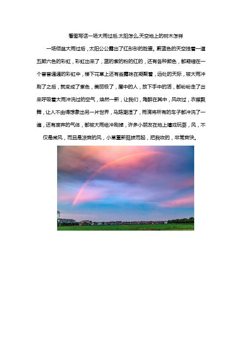 看图写话一场大雨过后,太阳怎么,天空地上的树木怎样