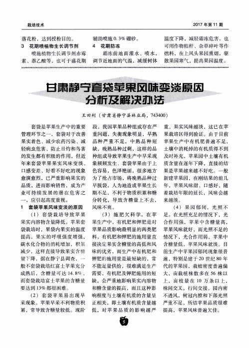 甘肃静宁套袋苹果风味变淡原因分析及解决办法