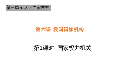 部编版八年级《道德与法治》下册6.1《国家权力机关》优秀课件 (共15张PPT)