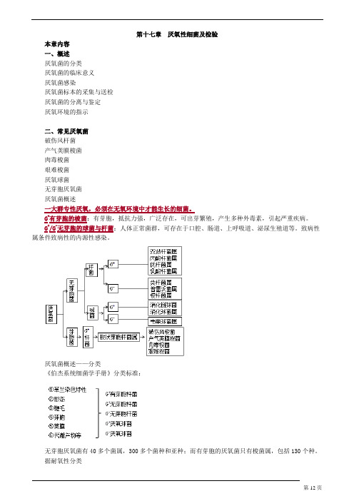 临床检验主管技师 微生物检验 第十七章 厌氧性细菌及检验