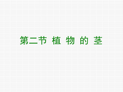 第二节植物的茎