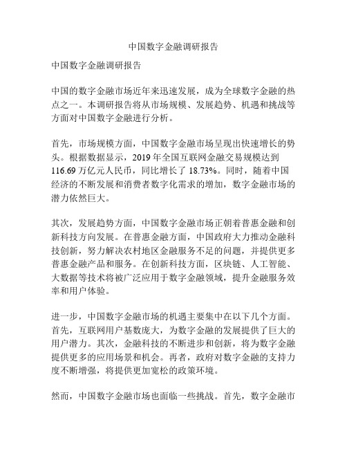 中国数字金融调研报告