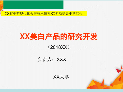 XX产品中期汇报-ppt