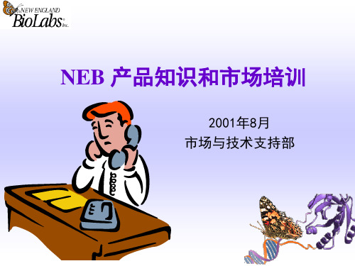 NEB产品知识和市场(ppt)-NEB产品知识和市场