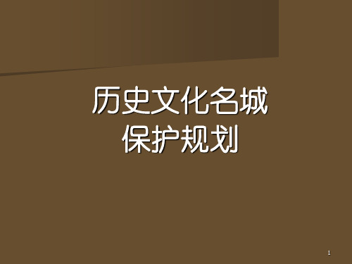 04历史文化名城保护规划PPT课件