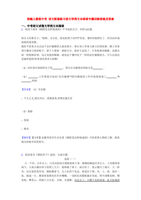 部编人教版中考 语文配套练习册文学类文本阅读专题训练答案及答案