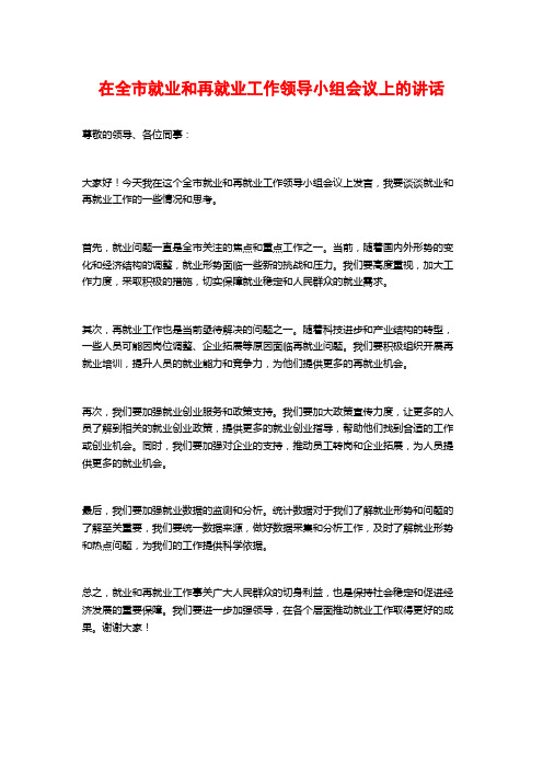 在全市就业和再就业工作领导小组会议上的讲话