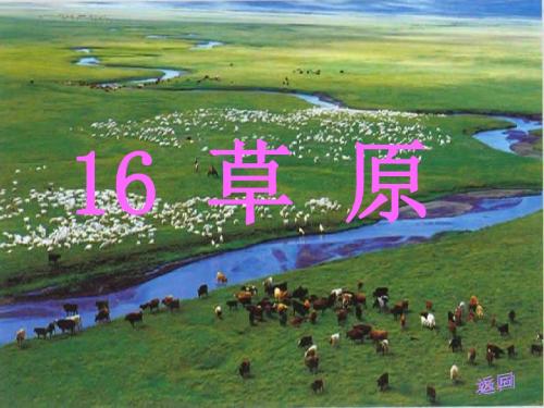 苏教版六年级上册《草原》PPT课件2