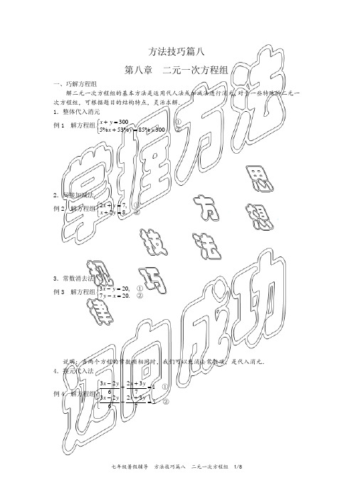 方法技巧篇8  二元一次方程组