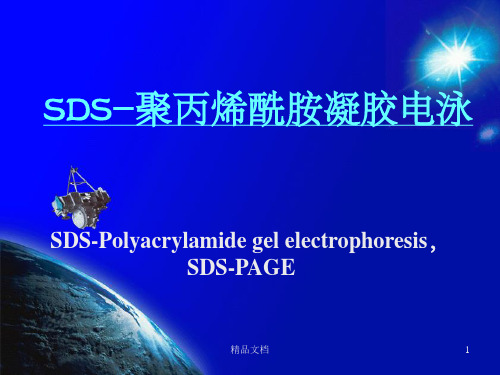 SDS-PAGE,聚丙烯酰胺凝胶电泳详解