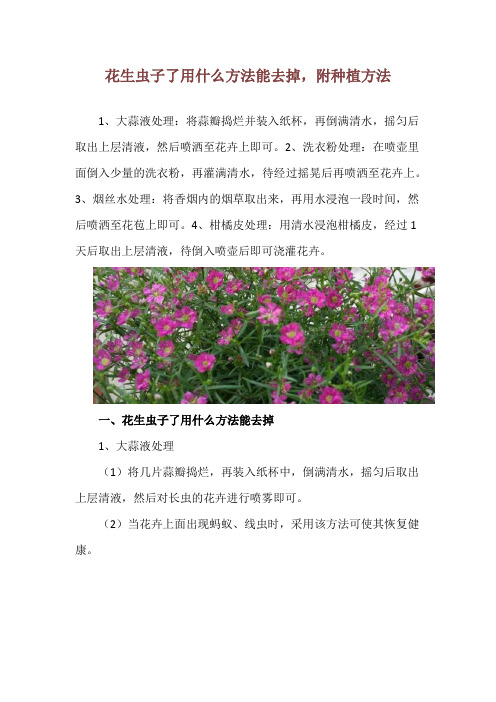 花生虫子了用什么方法能去掉,附种植方法