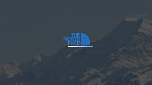 The North Face 新产品策划